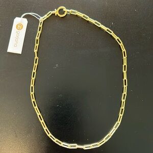 Gorjana Gold Plated 18”Paperclip Chain Necklace!